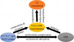 Coprecipitation of Fe/Cr Hydroxides with Organics: Roles of Organic Properties in Composition and Stability of the Coprecipitates Coprecipitation of Fe/Cr Hydroxides with Organics: Roles of Organic Properties in Composition and Stability of the Coprecipitates