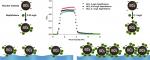 Effect of naphthalene on transport and retention of biochar colloids through saturated porous media Effect of naphthalene on transport and retention of biochar colloids through saturated porous media