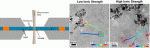 In situ observation of hematite nanoparticle aggregates using liquid cell transmission electron microscopy