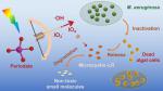 Simultaneous inactivation of Microcystis aeruginosa and degradation of microcystin-LR in water by activation of periodate with sunlight