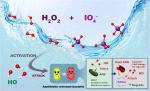 Green and efficient disinfection of antibiotic-resistant bacteria via PI/H2O2 homogeneous system