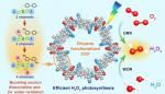 Efficient Photosynthesis of Hydrogen Peroxide by Cyano-Containing Covalent Organic Frameworks from Water, Air and Sunlight