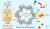 Efficient Photosynthesis of Hydrogen Peroxide by Cyano-Containing Covalent Organic Frameworks from Water, Air and Sunlight