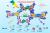 Boosting Exciton Dissociation and Charge Transfer in Triazole-Based Covalent Organic Frameworks by Increasing the Donor Unit from One to Two for the Efficient Photocatalytic Elimination of Emerging Contaminants