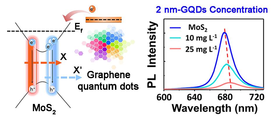 Graphene quantum dots (GQDs) interacting with MoS2 monolayers induce an effective photo-excited charge transfer at the interface