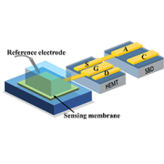 Haozhe Sun and Qi Cheng's work on high sensitivity and linearity PH sensor based on hybrid GaN HEMT has been accepted for presentation in the coming MicroTAS 2021.