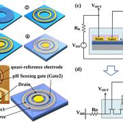 Qi Chen's work has been published in IEEE Electron Device Letters