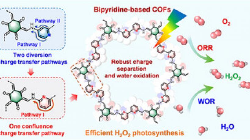 Building a Confluence Charge Transfer Pathway in COFs for Highly Efficient Photosynthesis of Hydrogen Peroxide from Water and Air