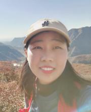 马 菲